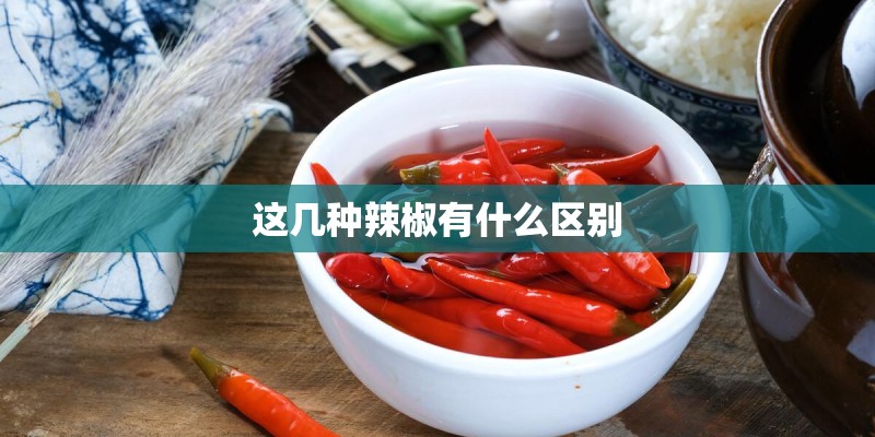 这几种辣椒有什么区别 这几种辣椒有什么区别