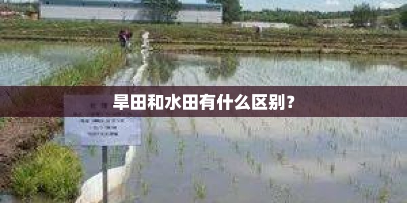 旱田和水田有什么区别? 旱田和水田有什么区别?