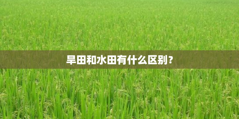 旱田和水田有什么区别? 旱田和水田有什么区别?