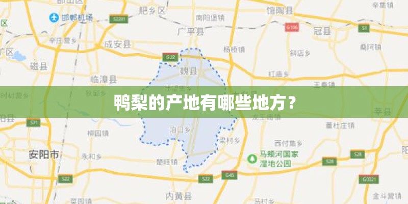 鸭梨的产地有哪些地方？