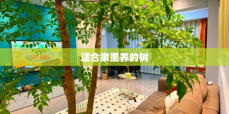 适合家里养的树 适合家里养的树